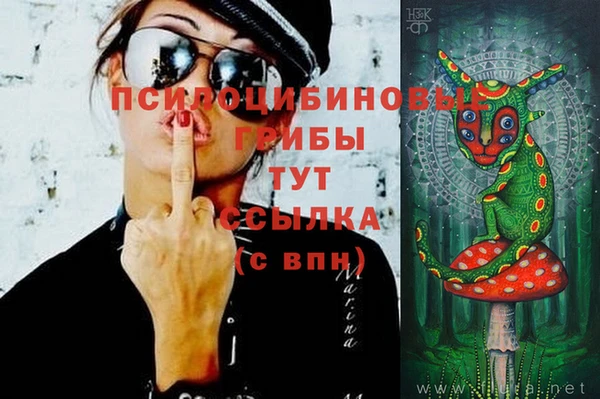 таблы Алзамай