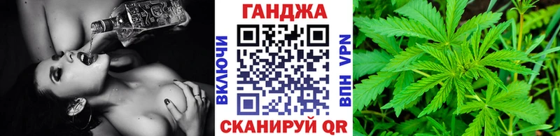 Бошки Шишки планчик  Ефремов 
